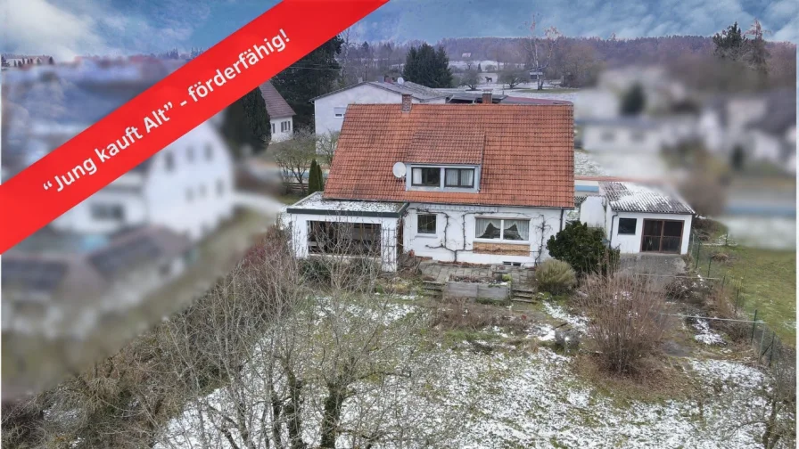 Jung kauft Alt - Haus kaufen in Haunsheim - 1-2 Familienhaus mit großem Grundstück  – förderfähig, ideal für junge Käufer