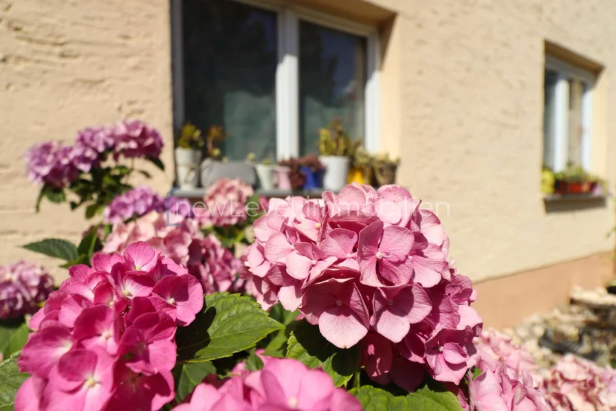 Garten - Haus kaufen in Regensburg - Zwei Wohnbereiche, ein Zuhause! Großzügiges Haus mit weiterer Ausbauoption & top Verkehrsanbindung