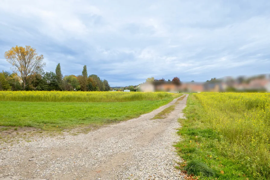 Fußweg vor dem Haus