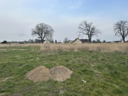 Grundstück - Grundstück kaufen in Friedland - Traumhaftes Baugrundstück in 17098 Friedland