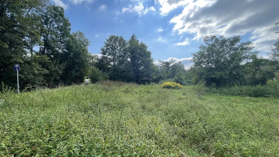 Blick nach Süden - Grundstück kaufen in Gröbenzell - - Rarität - Grosses Baugrundstück in wunderschöner Lage am Bachlauf