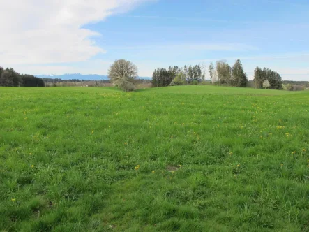 Landwirtschaftsfläche - Grundstück kaufen in Eiselfing - 2 große Landwirtschaftliche Wiesenflächen u. kleine Waldfläche anliegend a.d.Grundstück