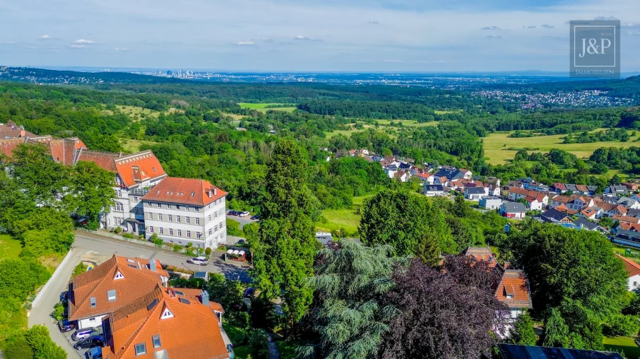 Aussicht vom Wald 