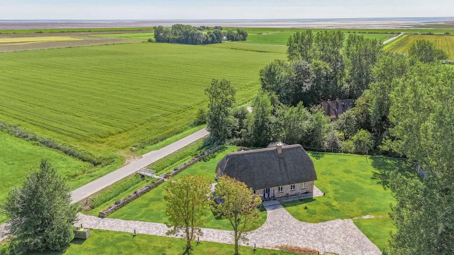 Drohnenansicht - Haus kaufen in Grothusenkoog - Modernes Landidyll unter Reet auf Eiderstedt