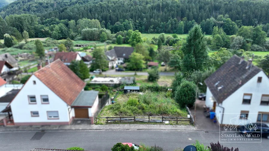 Straßenansicht mit Talblick