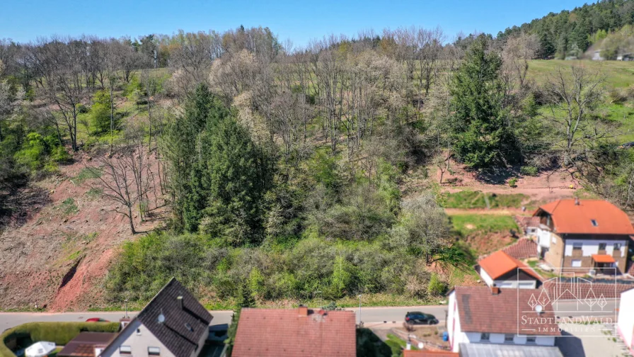 Bauplatz mit angrenzenden Feldern und Wald