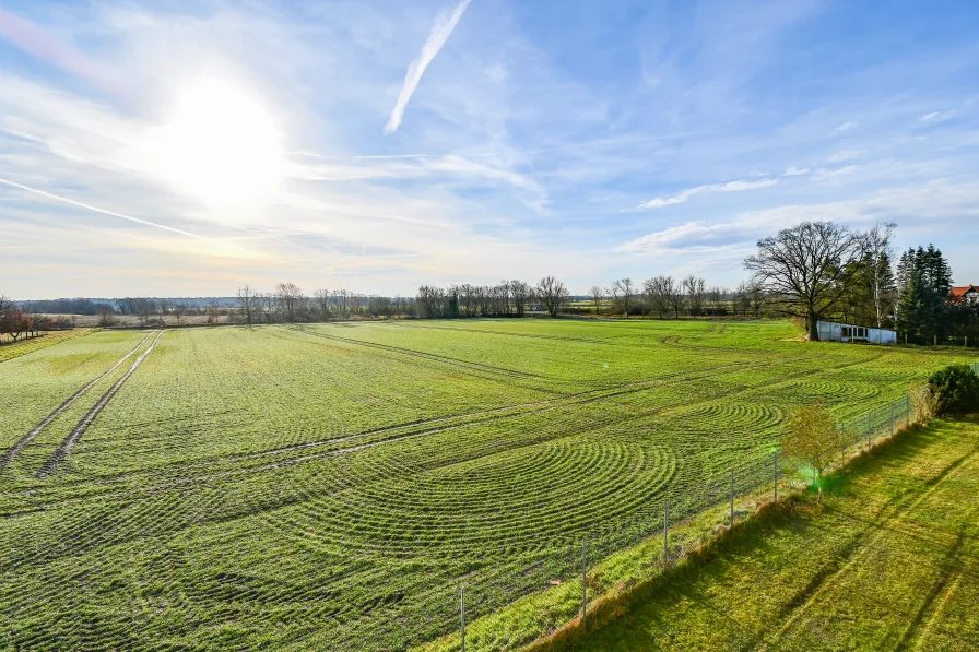 Terrassenblick.jpg