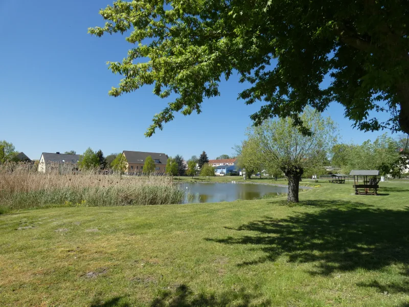 Blick vom Weg am Dorfteich