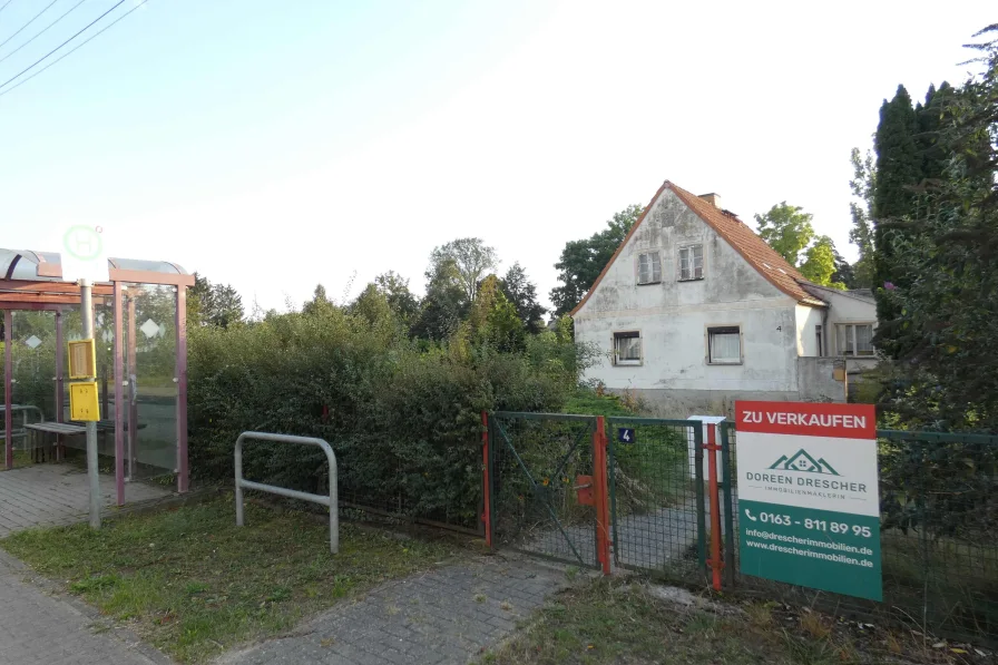  Straßenansicht Hauptstraße 4 - Grundstück kaufen in Lindendorf - Gut gelegenes großes Grundstück, bebaut mit einem Einfamilienhaus, Abrissobjekt  und 5 Nebengebäuden