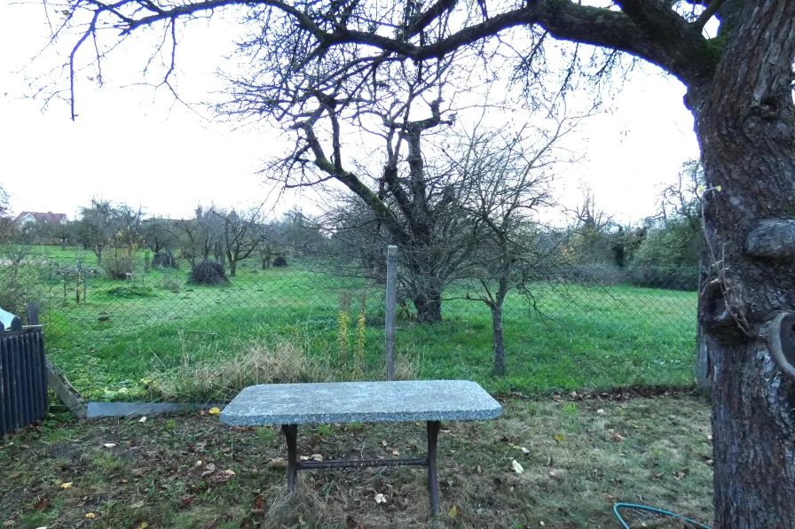 Grundstück mit Blick auf Nachbargarten