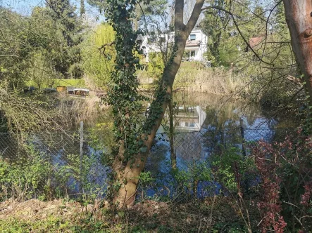 Biotop - Wohnung kaufen in Berlin - Beschauliches Hermsdorf - 1 1/2 Zimmer in gepflegter ruhiger Wohnanlage, Stellplatz in Tiefgarage