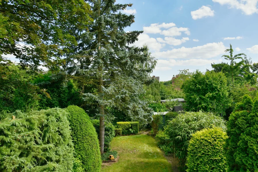 Garten vom Balkon aus