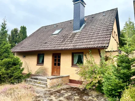 Ansicht - Haus kaufen in Neetze - Einfamilienhaus mit Potential und großem Grundstück in Neu Neetze