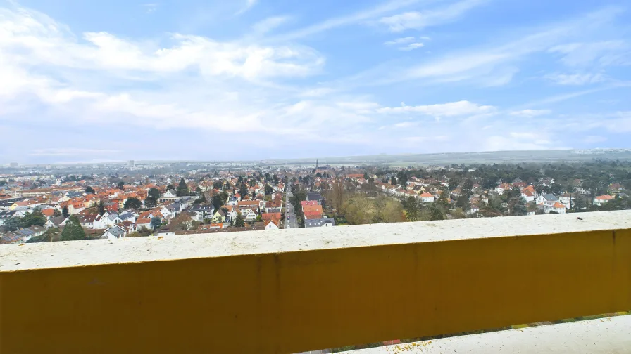 Aussicht Wohnzimmer - Wohnung kaufen in Mainz - Attraktive 3-Zimmer-Wohnung mit Weitblick in Mainz-Gonsenheim