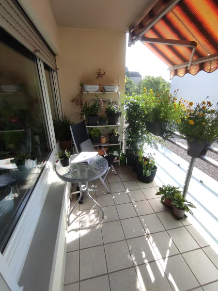 Südwest-Balkon - Wohnung kaufen in Freiburg - Gepflegte 2 Zimmer ETW mit Balkon + TG-Platz