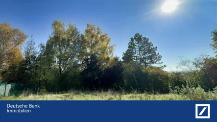 Blick von West nach Ost - Grundstück kaufen in Donaueschingen - DBI - RALF PAVALETZ - Traumhaftes Grundstück in Kernstadt von Donaueschingen