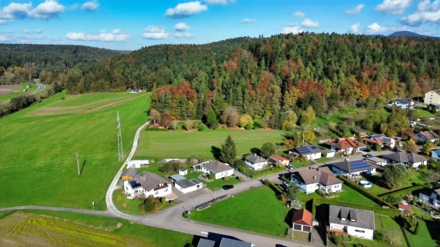 Natur - gleich hinterm Haus