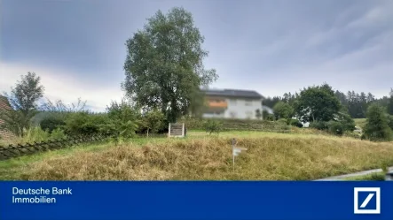 Herrlicher Südhang - Grundstück kaufen in Vöhrenbach - DBI - RALF PAVALETZ - ca. 555 m² großes Südhang-Grundstück in Hammereisenbach