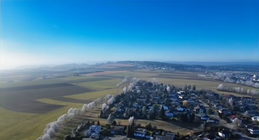 Blick in den Schwarzwald