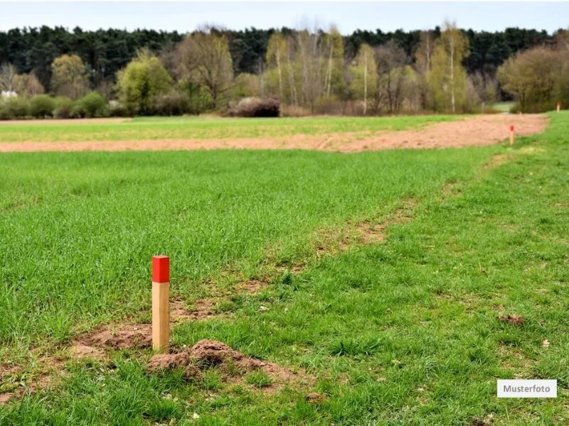 Grundstück_Wiese - Grundstück kaufen in Saalfeld - Grundstück in 07318 Saalfeld, Ortsstr.