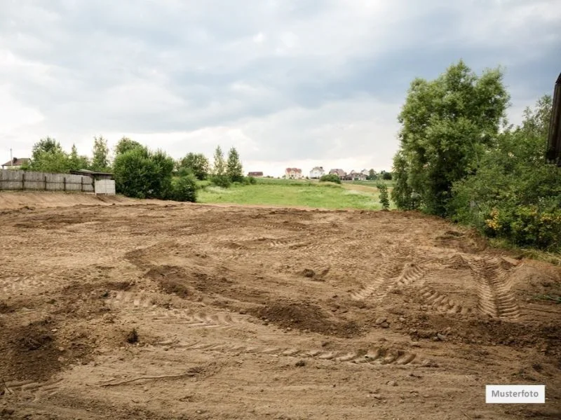 Grundstück_Wiese_1_Musterfoto - Grundstück kaufen in Leipzig - Grundstück in 04155 Leipzig, Lützowstr.