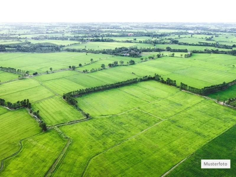 Ackerland_Musterfoto - Grundstück kaufen in Barßel - Land- / Forstwirtschaft in 26676 Barßel, Porüllenschlatt