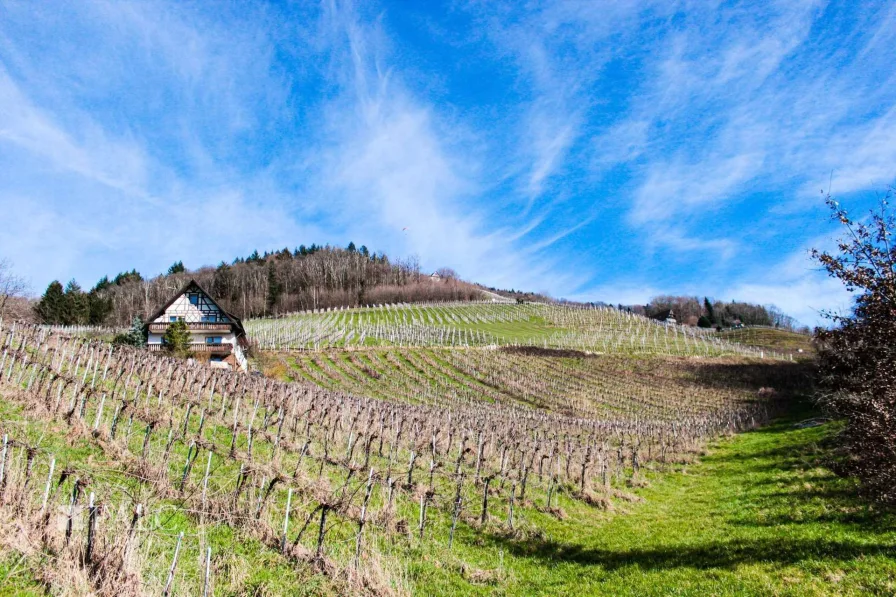 Landwirtschaftliche Fläche