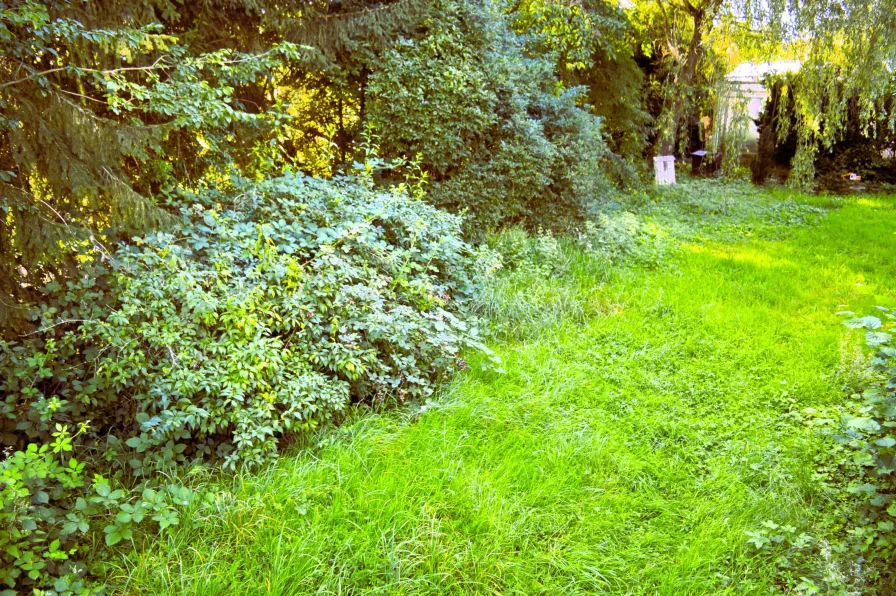 großer gem. Garten am Bach 