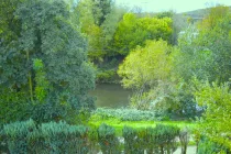 Blick vom Südbalkon in Natur