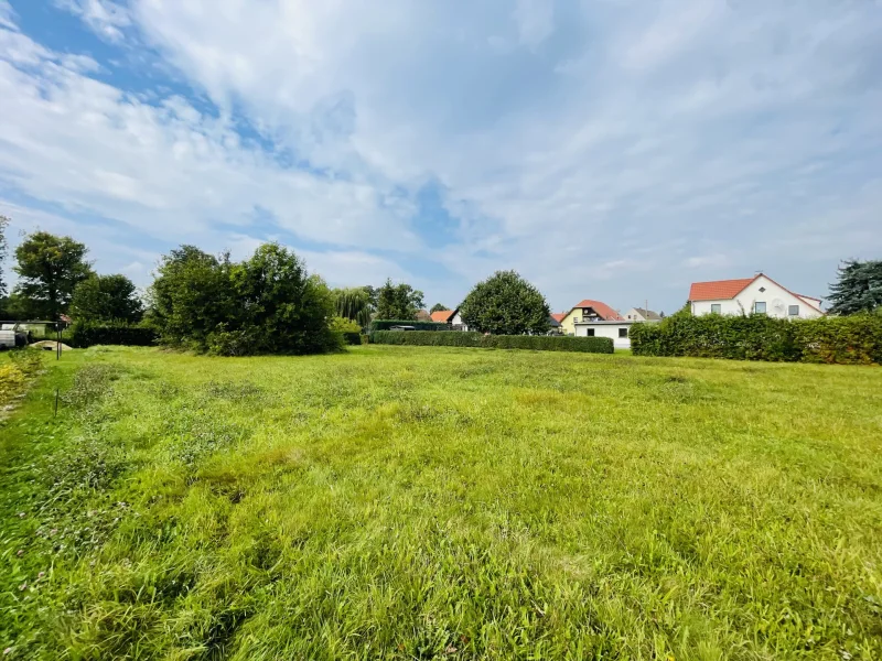 Grundstück mit Blick in das Hinterland