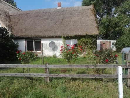 Hausansicht - Haus kaufen in Schaprode - RÜGEN ! 1900 m² Grundstück am Schaproder Bodden bebaut mit sanierungsfähigem Reetdach-Altbau! Neuer KP!