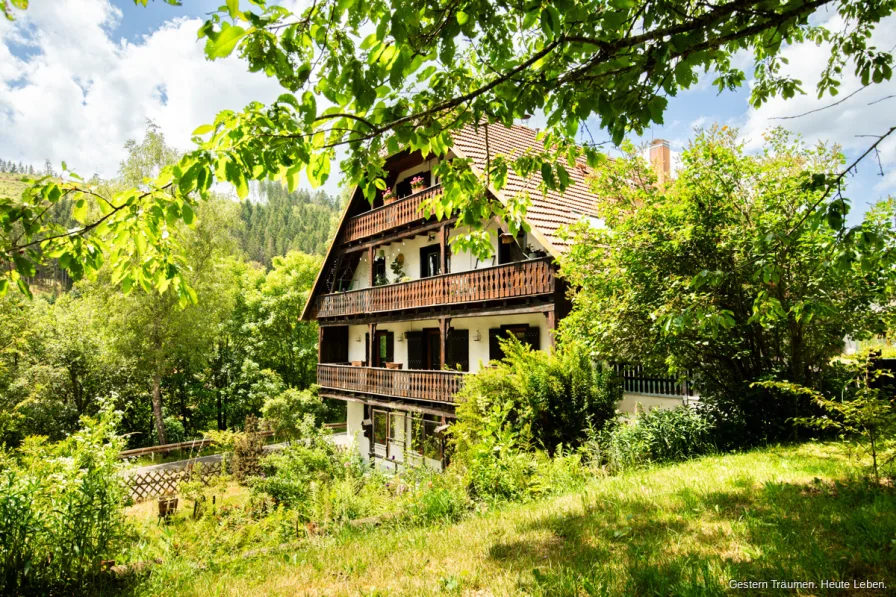 Ansicht Garten - Wohnung kaufen in Lenzkirch / Saig - Sanierte Ferienwohnung I Zwei Schlafzimmer I Terrasse zu verkaufen