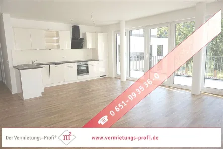 Küche / Wohnzimmer - Wohnung mieten in Trier - Ideale Lage für Lux-Pendler!! 2 Zimmer Wohnung mit Einbauküche und Balkon sowie toller Mosellage.