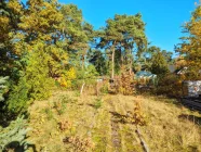 Grundstück mit Blick auf Altbestand