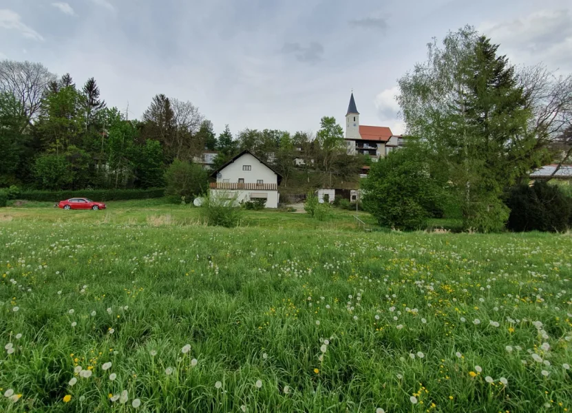 Weitblick auf das Grundstück